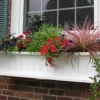 Mayne Inc. Cape Cod 4' Window Box