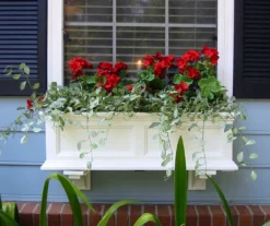 Mayne Inc. Fairfield 3' Window Box