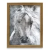 White Horse Framed Plaque