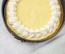 Gray Speckled Springform Pan, (9") -Home Furnishing Store 810526055 3