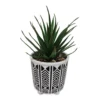 Succulent in Geometric Footed Ceramic Pot