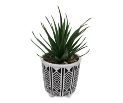 Succulent in Geometric Footed Ceramic Pot