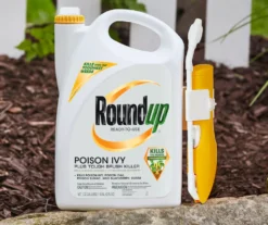 Roundup Ready-To-Use Poison Ivy Plus Tough Brush Killer With Comfort Wand, 1.33 Gal. -Home Furnishing Store 810543477 4