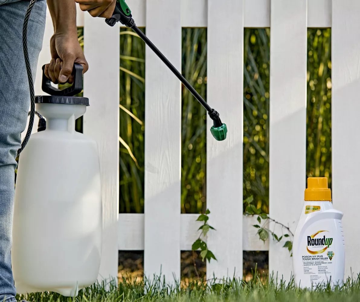 Roundup Concentrate Poison Ivy Plus Tough Brush Killer, 32 Oz. 2 Roundup Concentrate Poison Ivy Plus Tough Brush Killer, 32 Oz. - Image 2