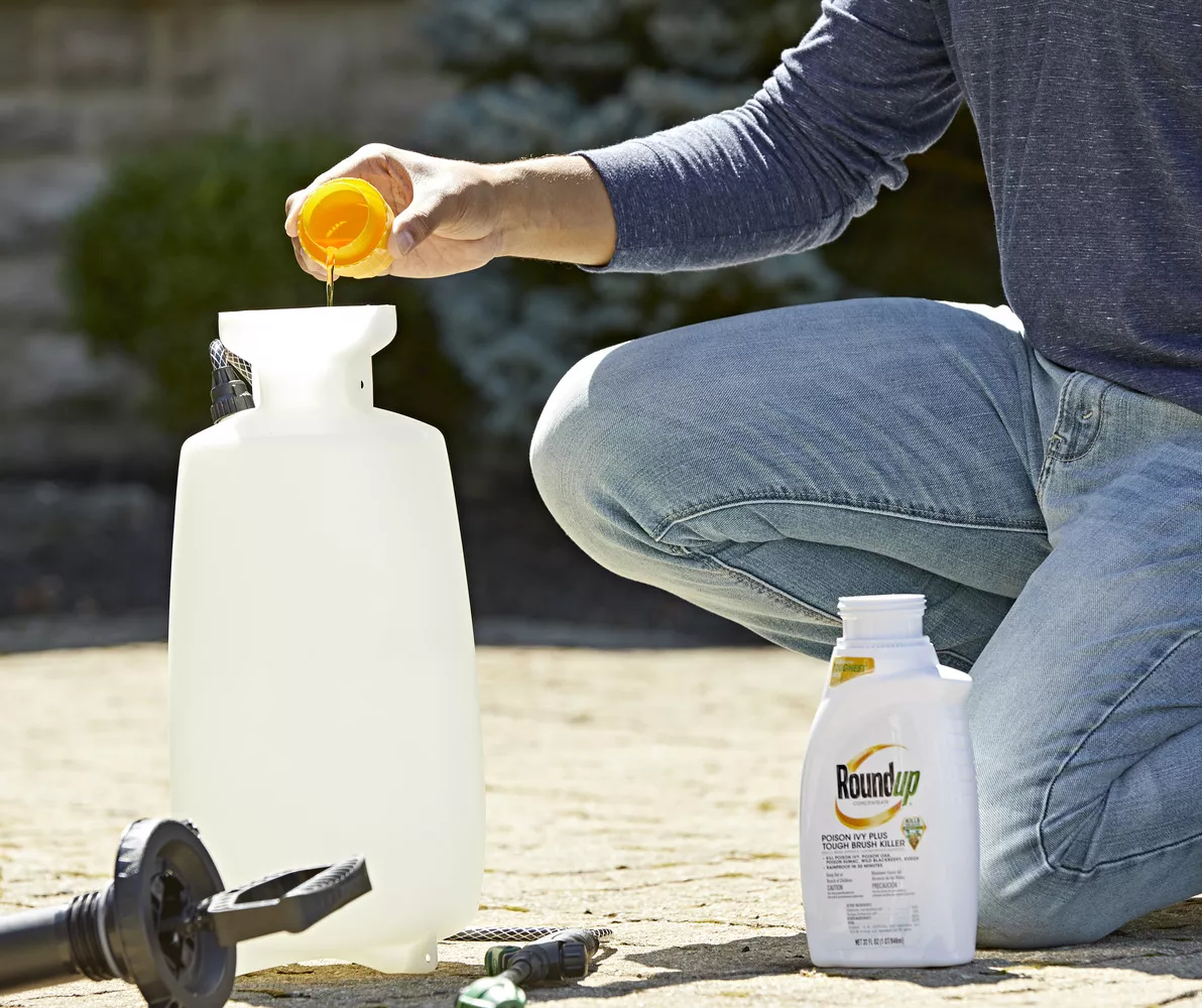 Roundup Concentrate Poison Ivy Plus Tough Brush Killer, 32 Oz. 3 Roundup Concentrate Poison Ivy Plus Tough Brush Killer, 32 Oz. - Image 3