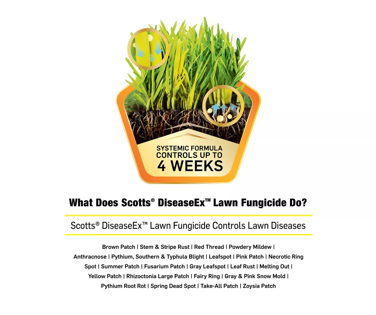 DiseaseEx Lawn Fungicide, 10 Lbs. 6 DiseaseEx Lawn Fungicide, 10 Lbs. - Image 6