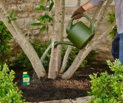 Tree & Shrub Fruit Tree Spray, 16 Oz. -Home Furnishing Store 810543540 2