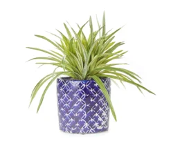 24" Tall Grass In Flower Print Pot
