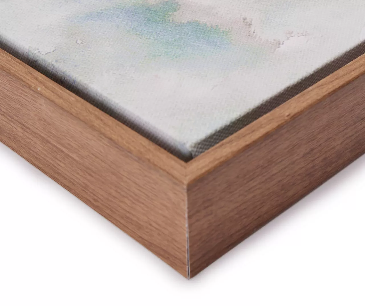 Blue & Brown Fish 2 Framed Canvas 2 Blue & Brown Fish 2 Framed Canvas - Image 2