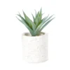 Artificial Aloe In Textured Cement Pot