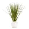 Green Decorative Grass In White Round Pot
