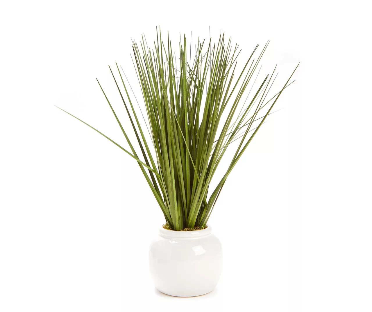 Green Decorative Grass In White Round Pot 1 Green Decorative Grass In White Round Pot