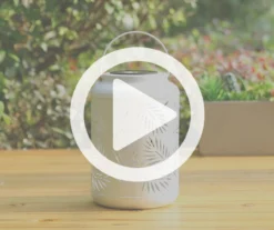 White Leaf Cut-Out Metal LED Solar Lantern -Home Furnishing Store 810607496 V0