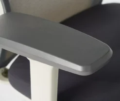 Atto Off-White & Gray Office Chair -Home Furnishing Store 810624144 A8 2